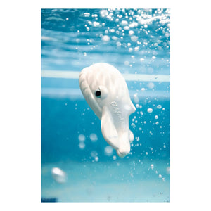Oli & Carol - Walter Whale Bath Toy