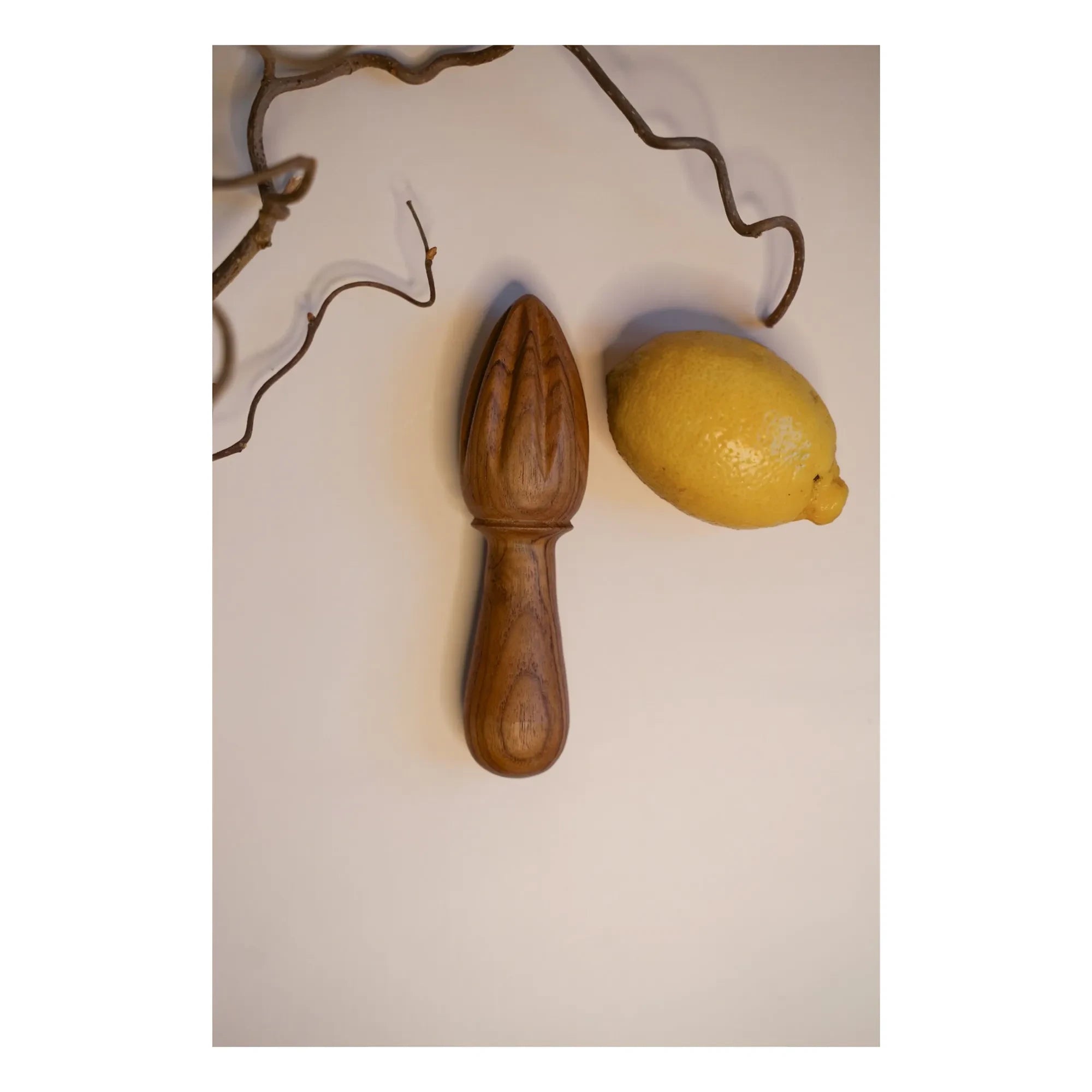 Woodmata - Teak Wood Citrus Juicer | Teak