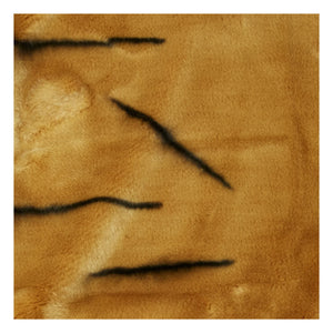 Wild & Soft - Light Brown Leopard Costume