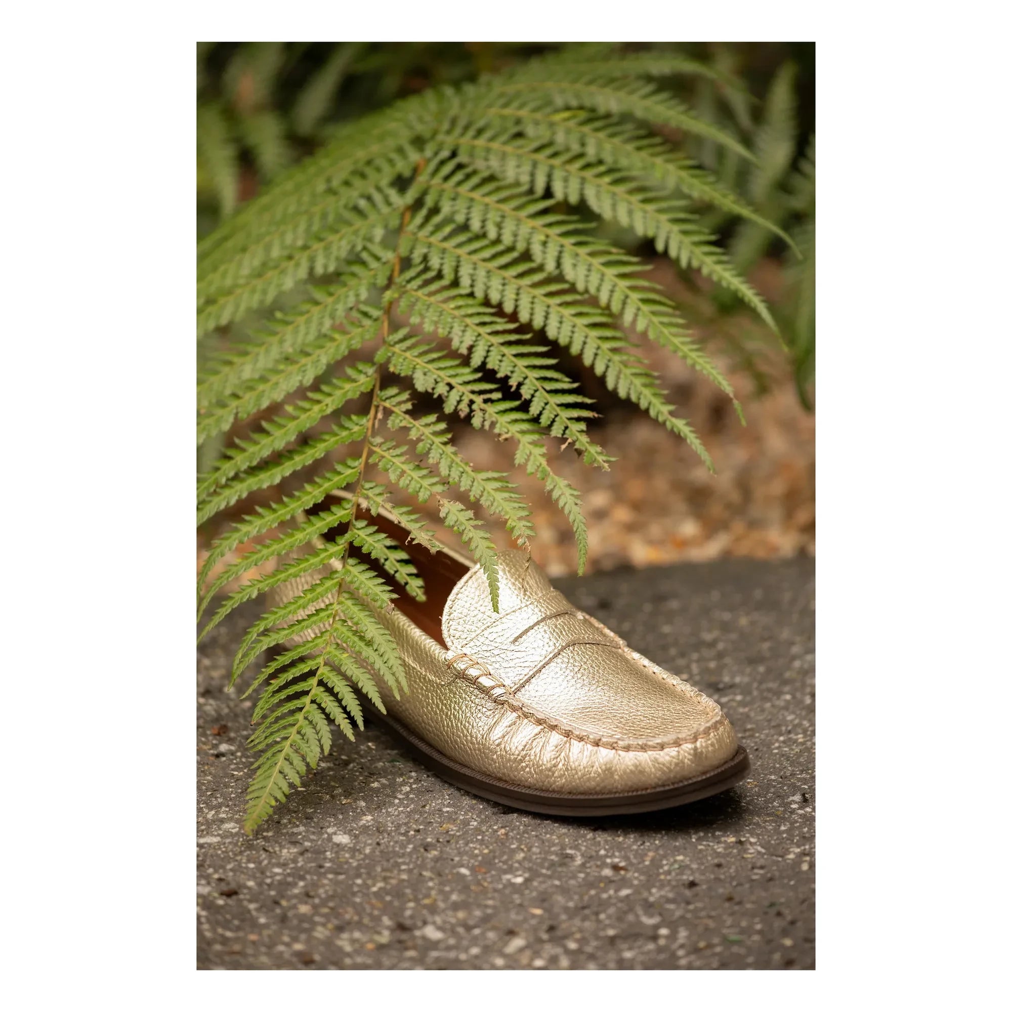 Lachoix - Metallic Penny Loafer | Champagne