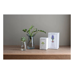 Kinto - Aquaculture Glass Vase | Gray
