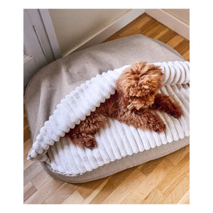 Cafide - Maso Dog Bed | Beige
