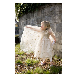 Great Pretenders - Princess Stars costume