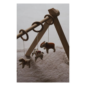 Quax - Dog Collar Toy Set
