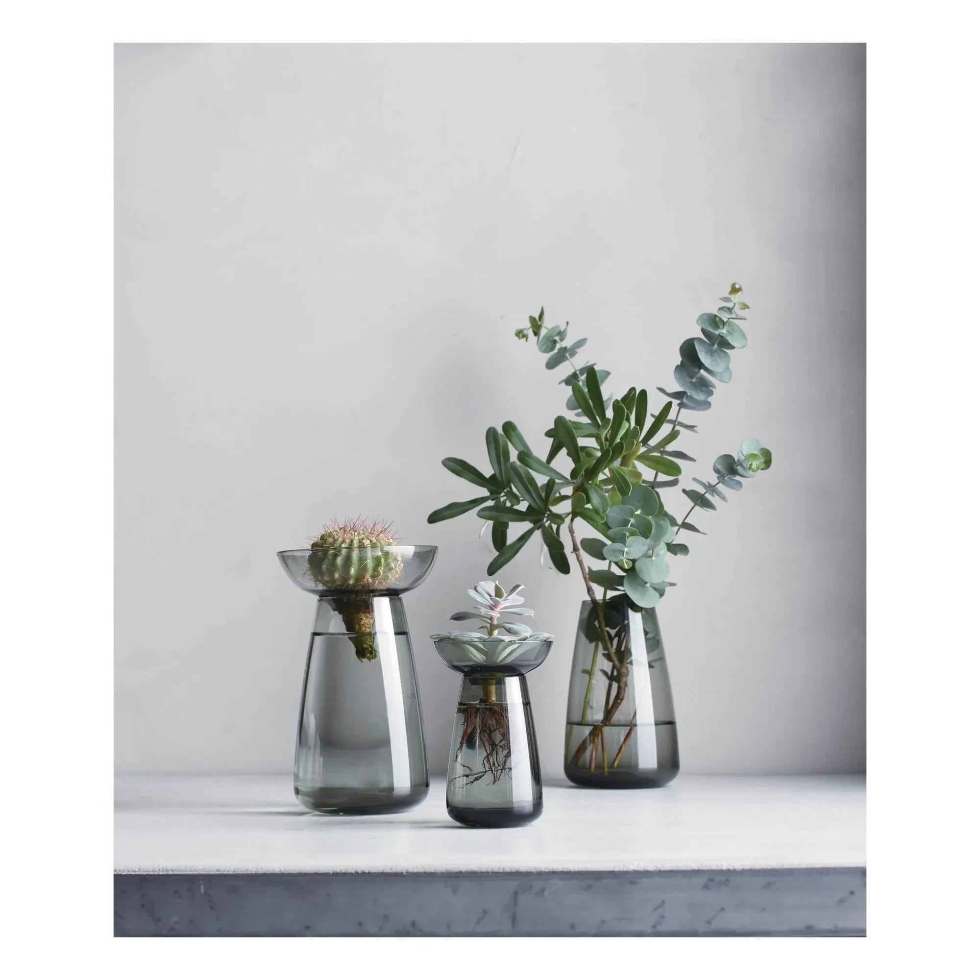 Kinto - Aquaculture Glass Vase | Gray