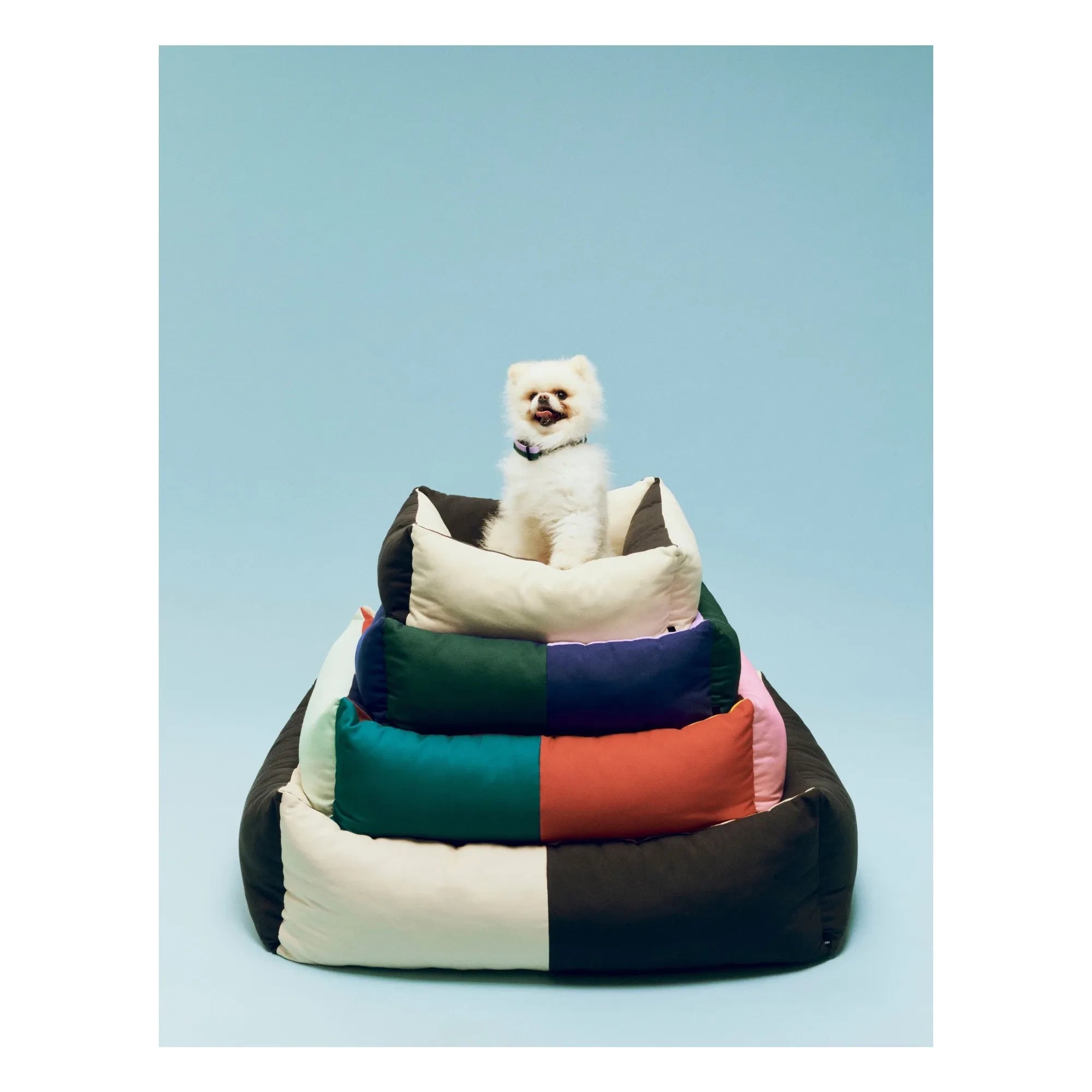 Hay - Dog Bed | Black