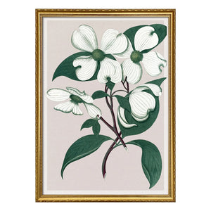 The Dybdahl Co. - Cornus Florida afiş