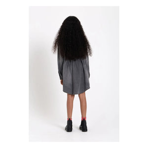 Finger in the Nose - Darlin Denim Dress | Gray Denim