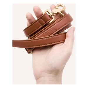 Cafide - 3-Position Dog Collar, Vegan Leather | Brown