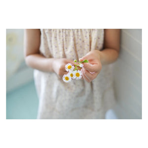 Soor Ploom - Delilah Fleurie Organic Cotton Dress | Ecru