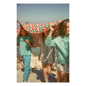 Piupiuchick - Light Blue Twill Heart Skirt
