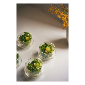 Kinto - Kronos Tea Cup