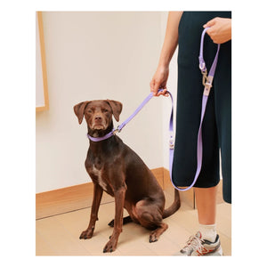 Approved by Fritz - Adjustable Dog Collar | Lilac