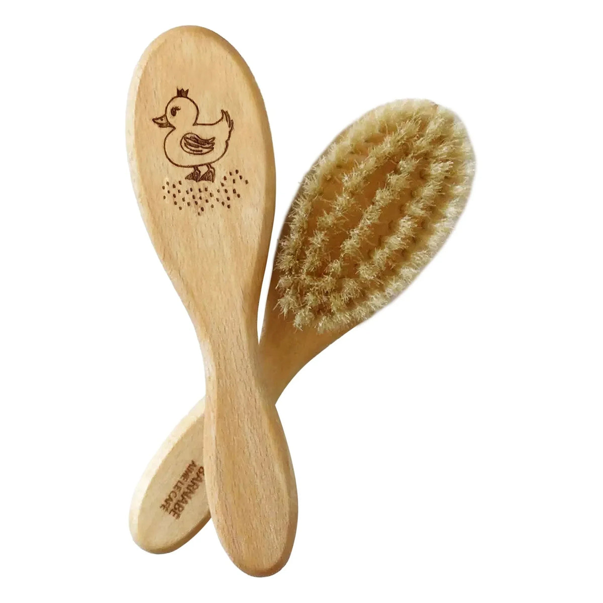 Barnabé aime le café - Beechwood and Silk-Feathered Duck Hairbrush | Light Wood