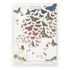 Les Jolies Planches - Butterfly Cutting Board
