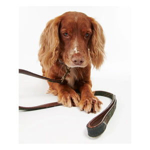 Barbour - Tartan Dog Collar | Dark Brown