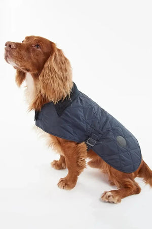 Barbour Köpek Montu