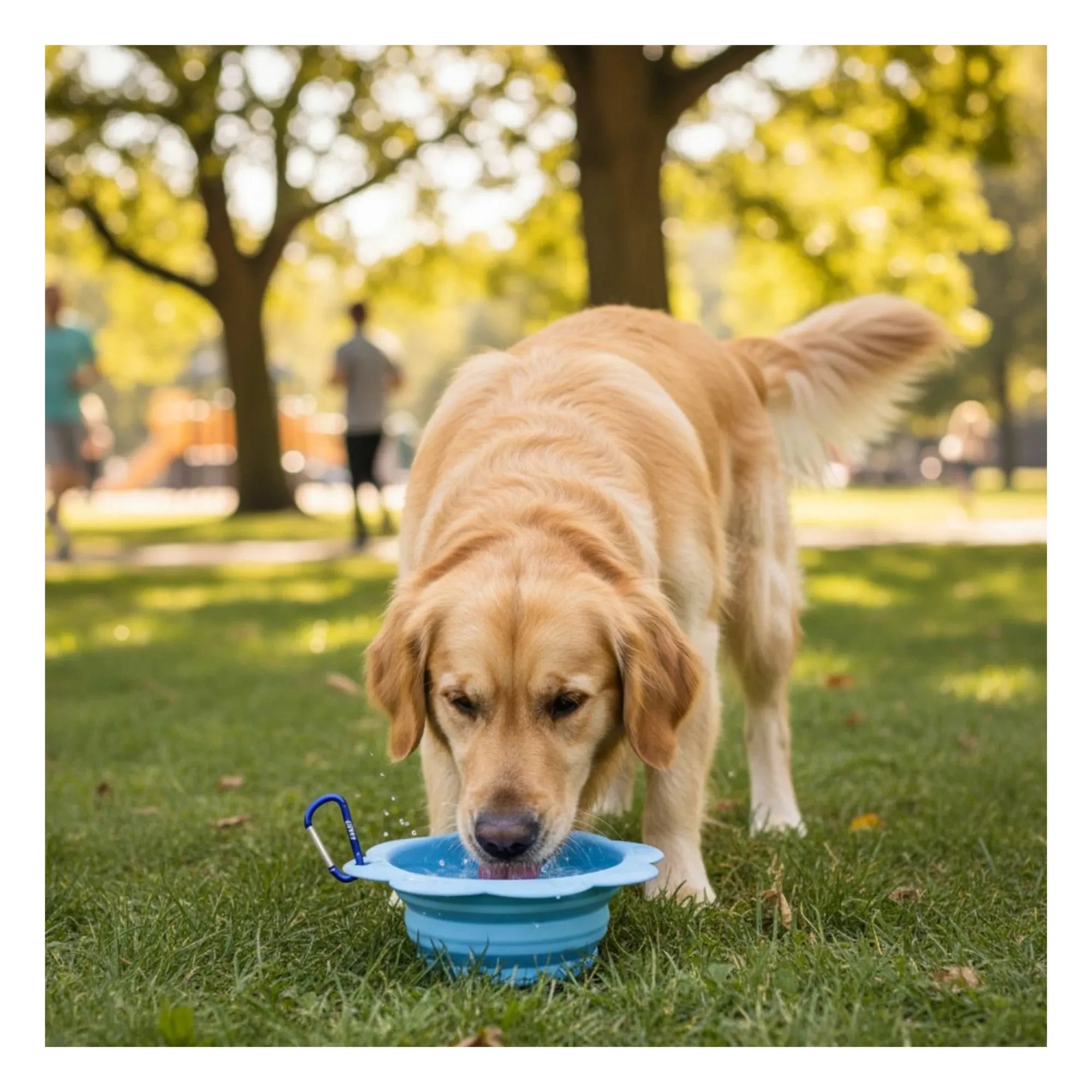 Jampy - Flower Carrying Bowl | Light Blue