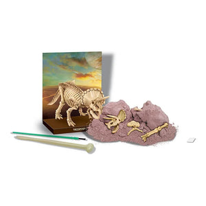 4M - Triceratops Excavation Kit