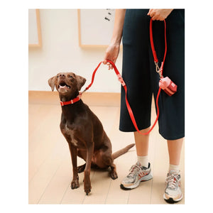 Approved by Fritz - Dog Collar | Cherry Red