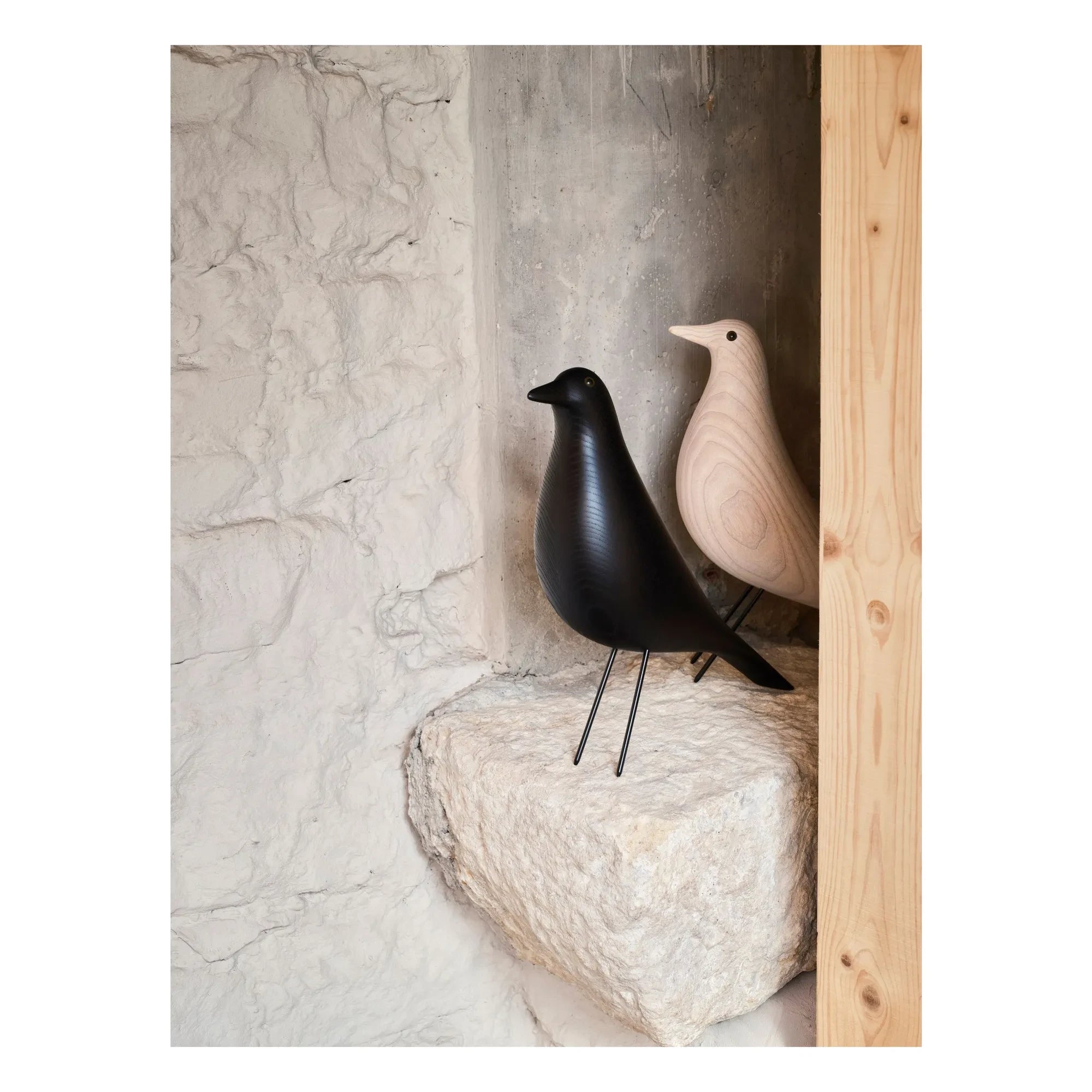 Vitra - House Bird dekoratif kuş | Siyah dişbudak