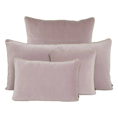 Haomy - New Delhi Velvet Pillow Cover | Dust Pink