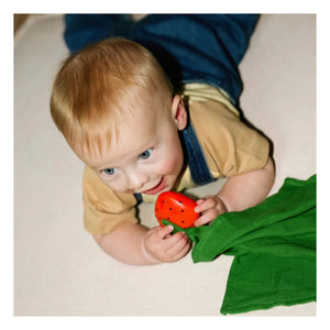 Oli & Carol - Sweetie Strawberry pacifier sleep companion | Red
