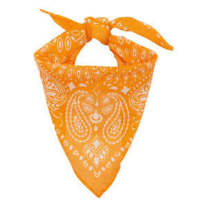 Arsène et Les Pipelettes - Orange Voile Bandana
