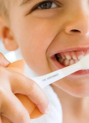 The Zoofamily - Sonic Toothbrush - Fox