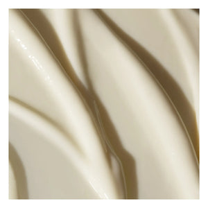 Odacité - Edelweiss Extrême Restorative Eye Cream - 15 ml