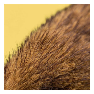 Jellycat - Hoppleston Tavşan Peluş