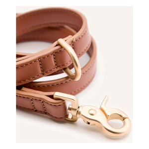 Cafide - 3-Position Dog Collar, Vegan Leather | Brown