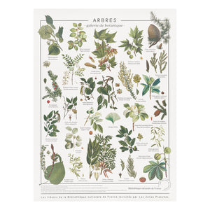 Les Jolies Planches - Ağaç panosu