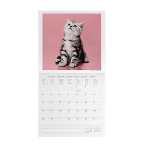 Legami - Kittens 2027 Wall Calendar - 30 x 29 cm