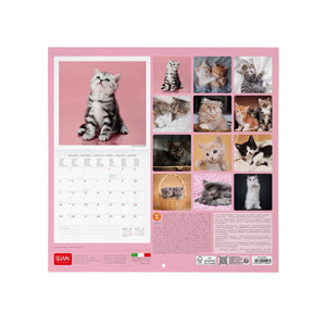 Legami - Kittens 2027 Wall Calendar - 30 x 29 cm