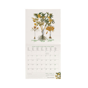 Legami - Herbarium 2027 Wall Calendar - 18 x 18 cm