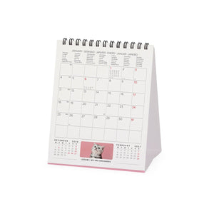 Legami - Kittens 2027 Desk Calendar - 12 x 14.5 cm