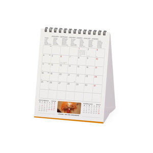 Legami - Take It Easy 2027 Desk Calendar - 12 x 14.5 cm