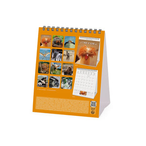 Legami - Take It Easy 2027 Desk Calendar - 12 x 14.5 cm