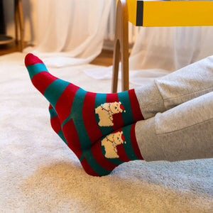Legami - Christmas Socks Llama Size 41-47 - A Perfect Fit!