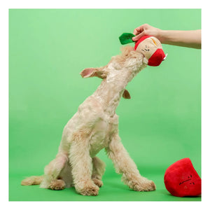 The Furry Folks - Apple Scratching Toy | Red