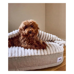 Cafide - Maso Dog Bed | Beige