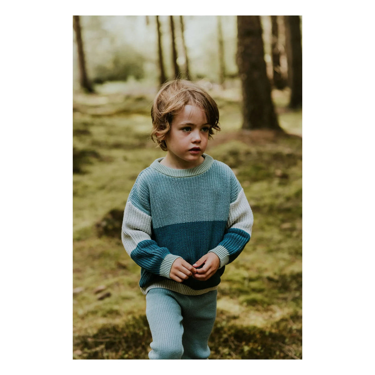 Yuki - Color-block Organic Cotton Sweater | Blue