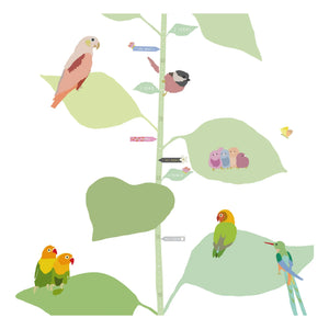 MIMI'lou - With The Birds Boy Ölçüm Tablosu - EN