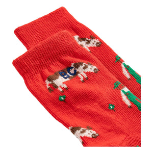Bobo Choses - Organic Cotton Farm Socks | Red