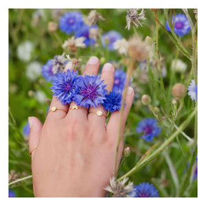 Adorabili - Sun Ring | Gold