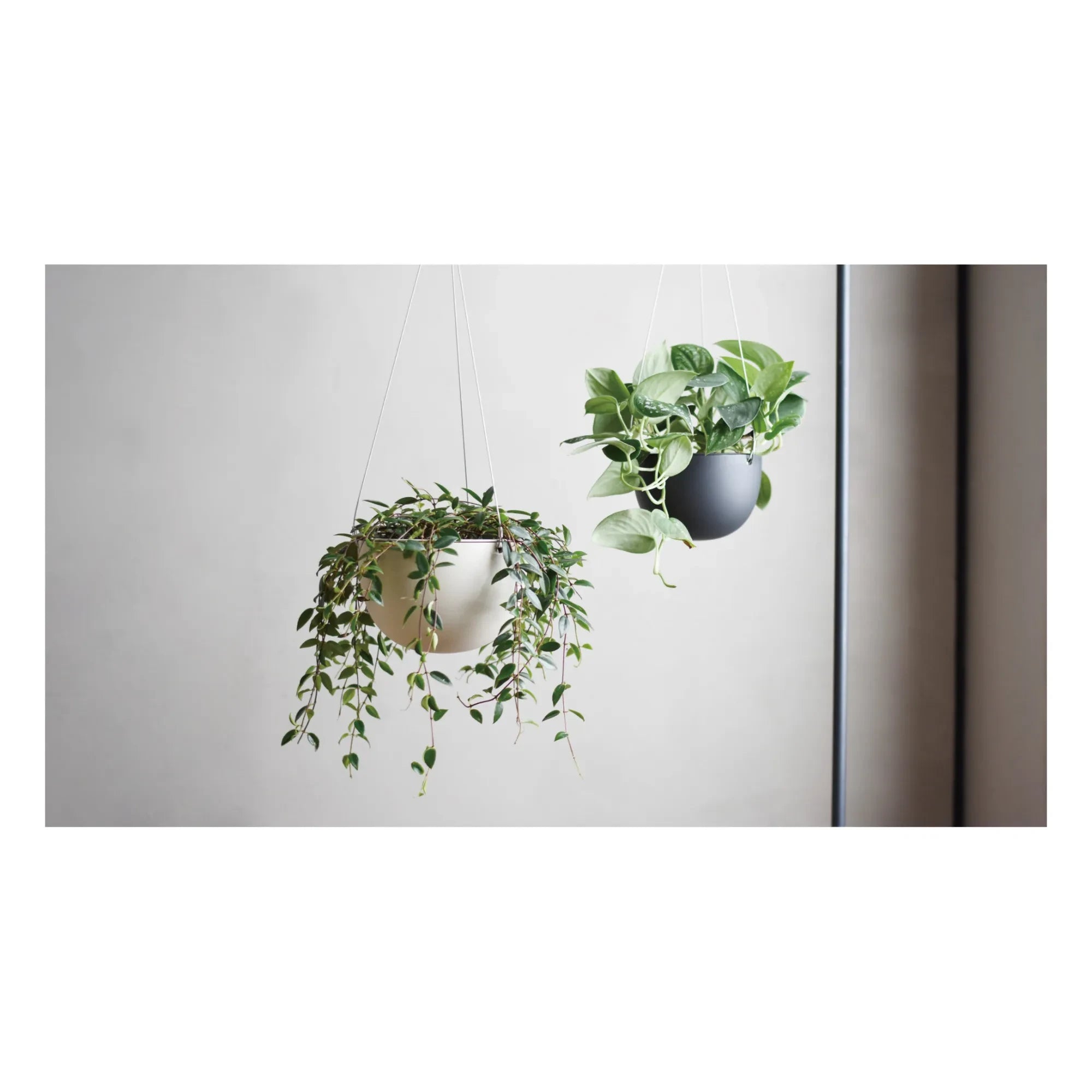 Kinto - Black Hanging Planter
