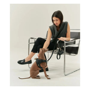 Cafide - Vegan leather dog collar | Black