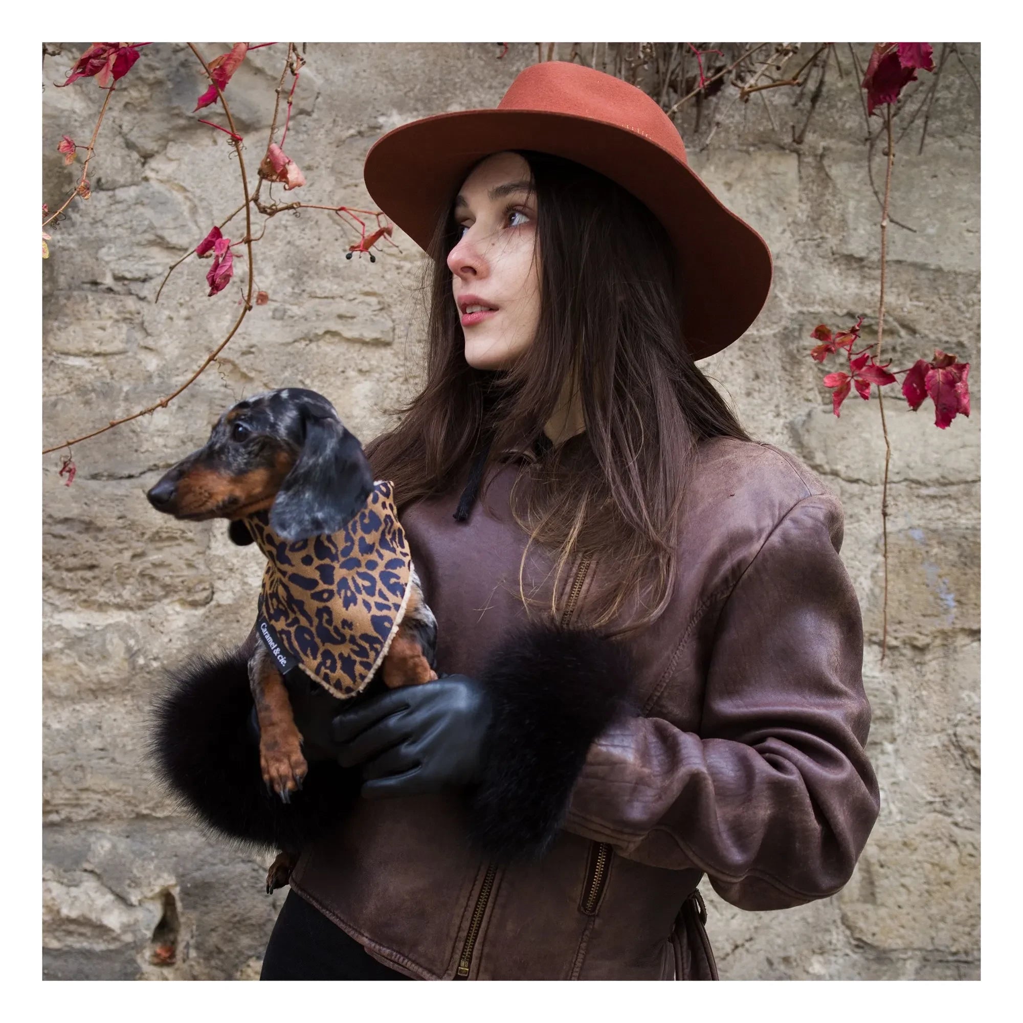 Caramel & Cie - Leopard Dog Bandana | Brown