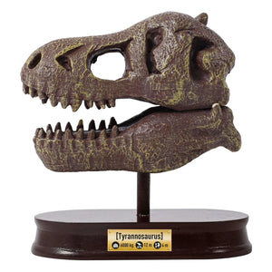 Buki - Archaeology Set - Museum Dinosaur Skull
